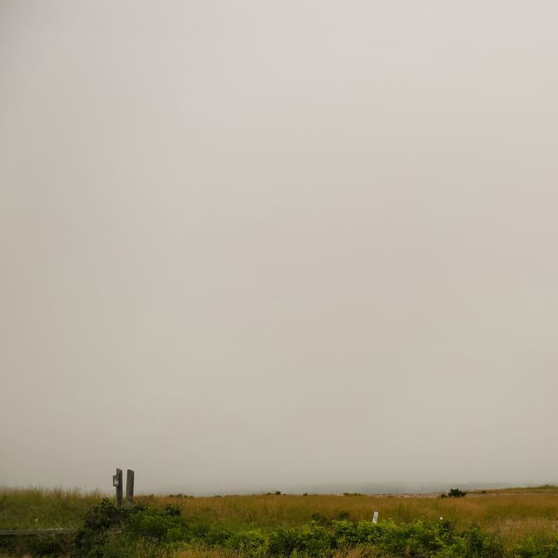 © Diana Cheren Nygren - Quiet