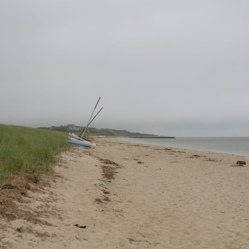 © Diana Cheren Nygren - Washed Ashore