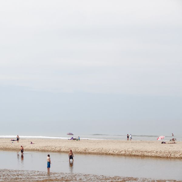 © Diana Cheren Nygren - Surprise