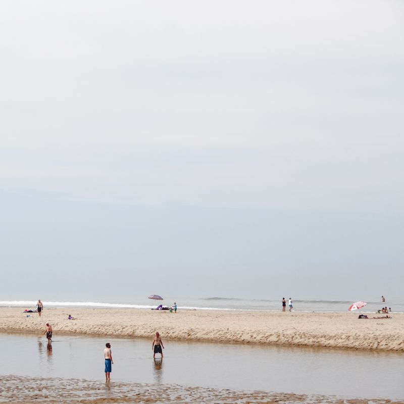 © Diana Cheren Nygren - Surprise