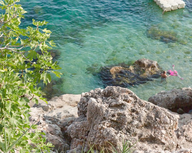 © Diana Cheren Nygren - Swimming Lesson