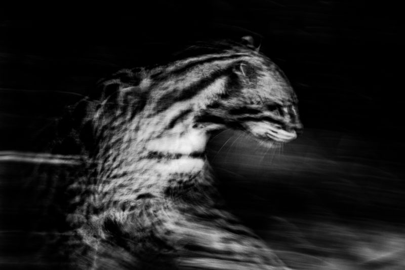 © Luis Barzola - Image from the IKAM photography project