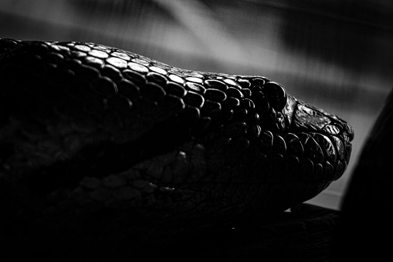 © Luis Barzola - Image from the IKAM photography project