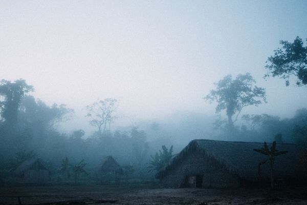 © Lucía Alonso Garrido - 4am and the rainforest is waking up heralded by birdsong, thick fog, and a short fleeting coolness in the air.