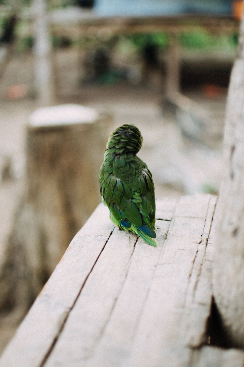 © Lucía Alonso Garrido - Image from the Eskawata Kayawai photography project