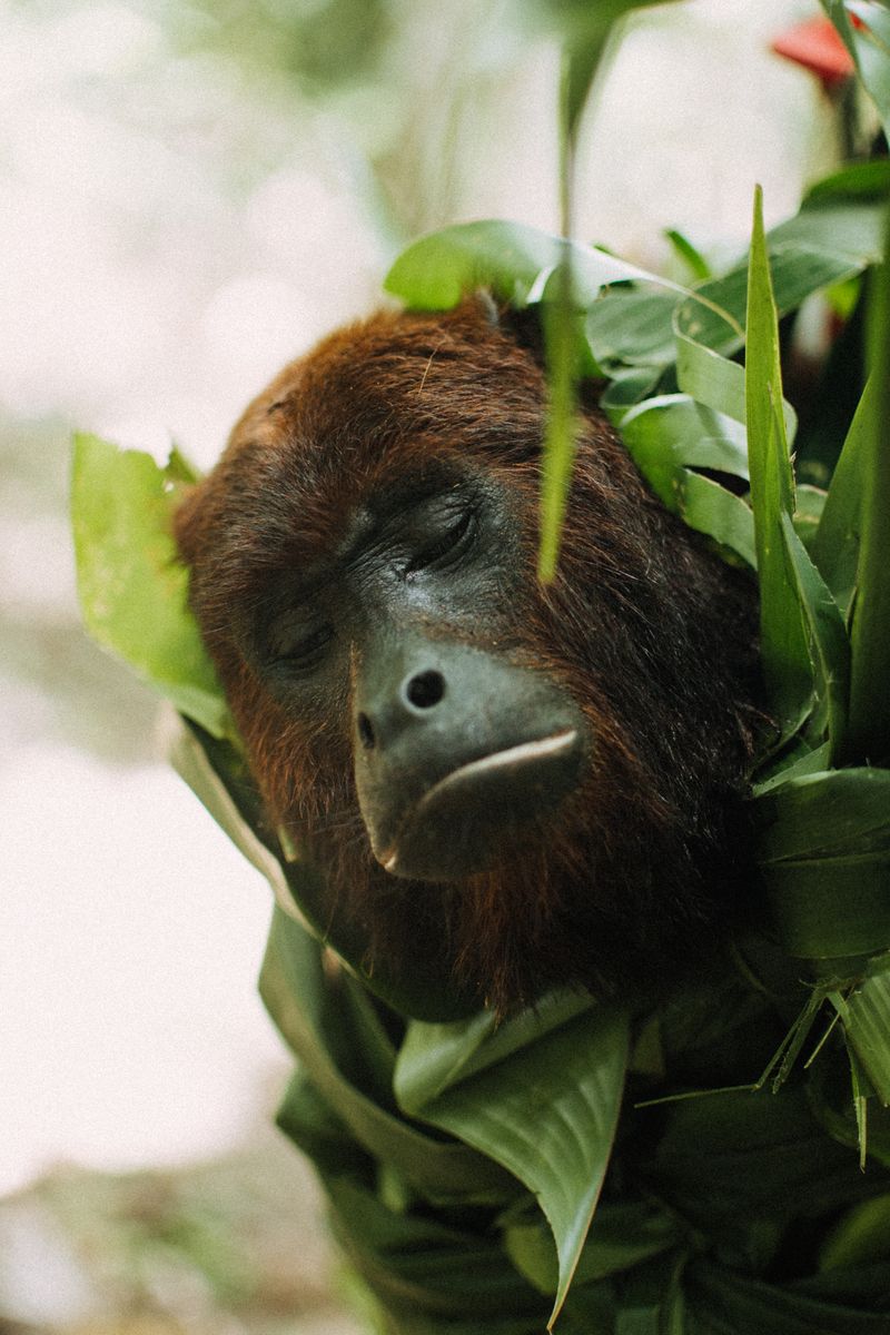 © Lucía Alonso Garrido - Image from the Eskawata Kayawai photography project