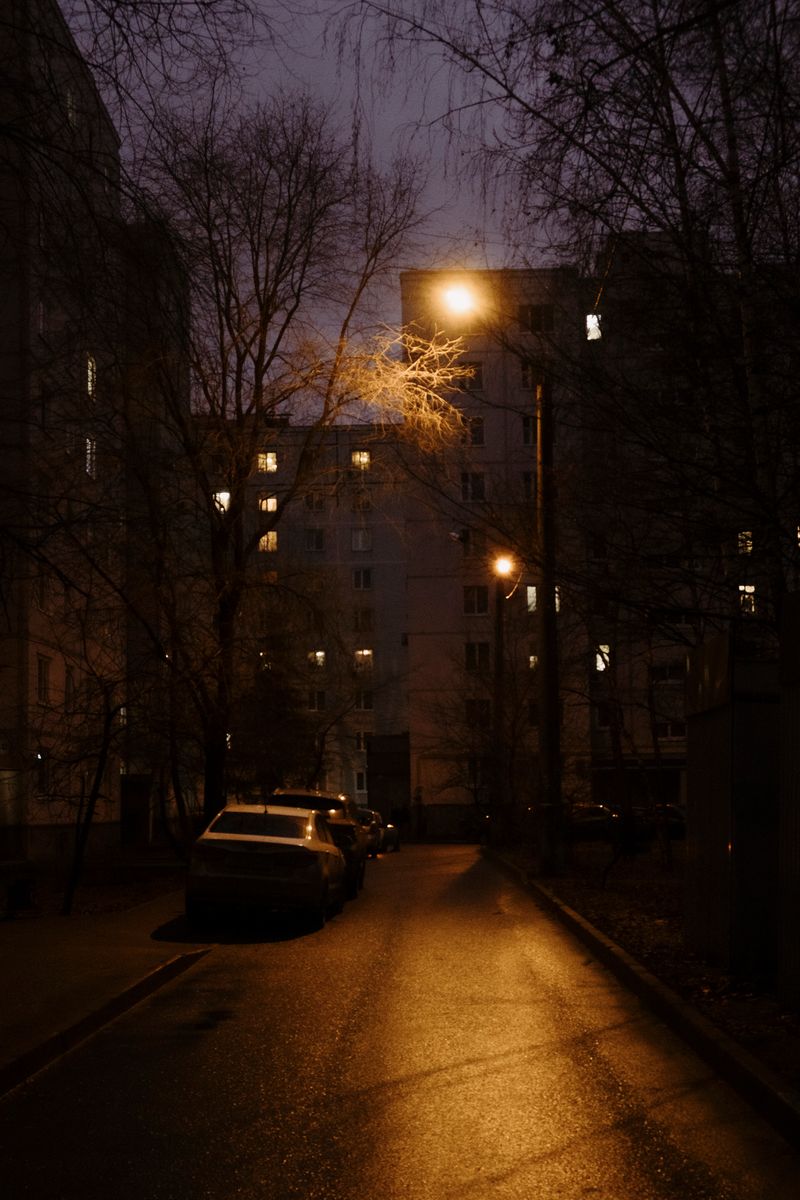 © Anna Agafonova - Image from the Mom, I have no one to play with... photography project