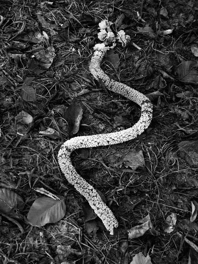 © Toni Arnau - Angkor Wat ruins. Siem Reap, Cambodia, 2017.