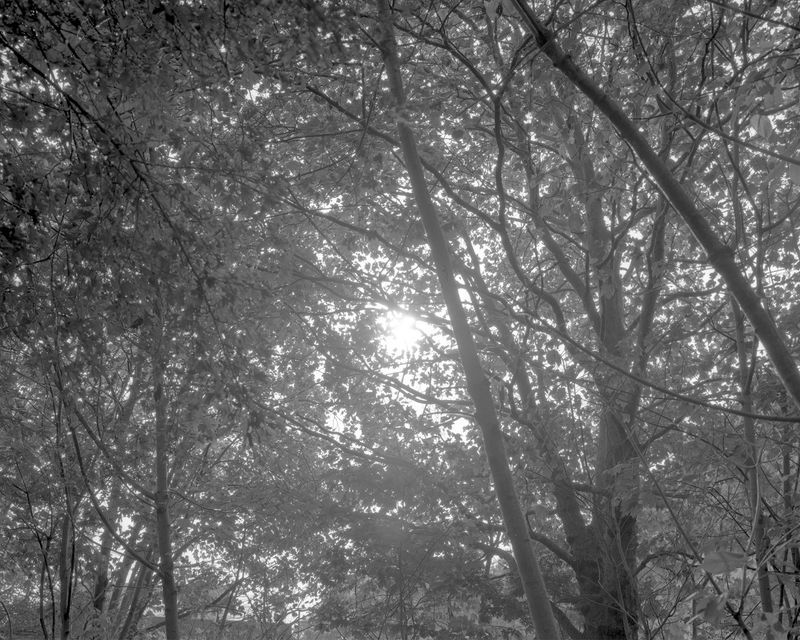 © Mico Toledo - Image from the A Brighter Sun photography project