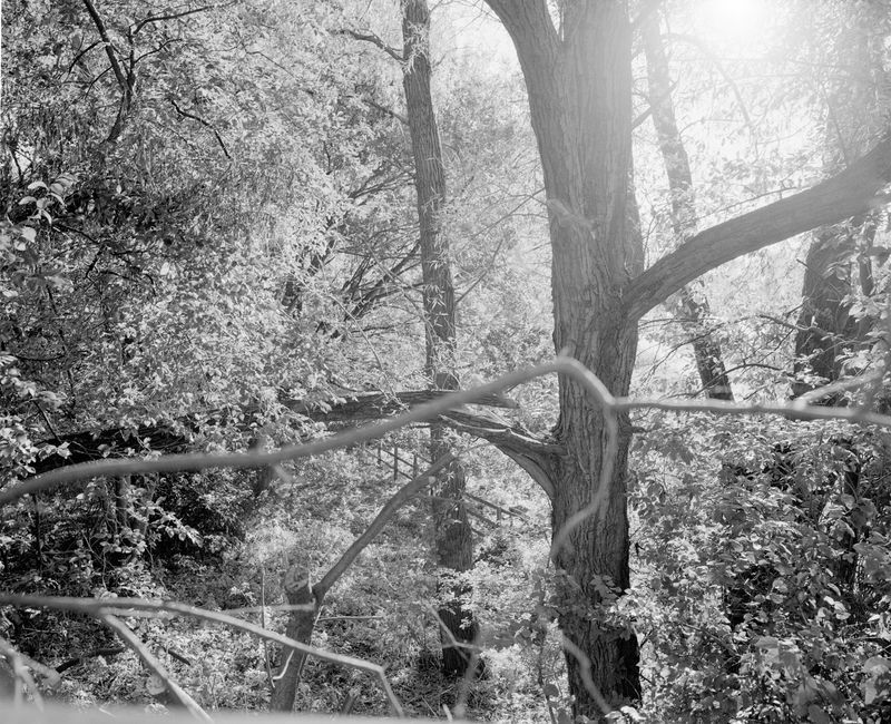 © Mico Toledo - Image from the A Brighter Sun photography project