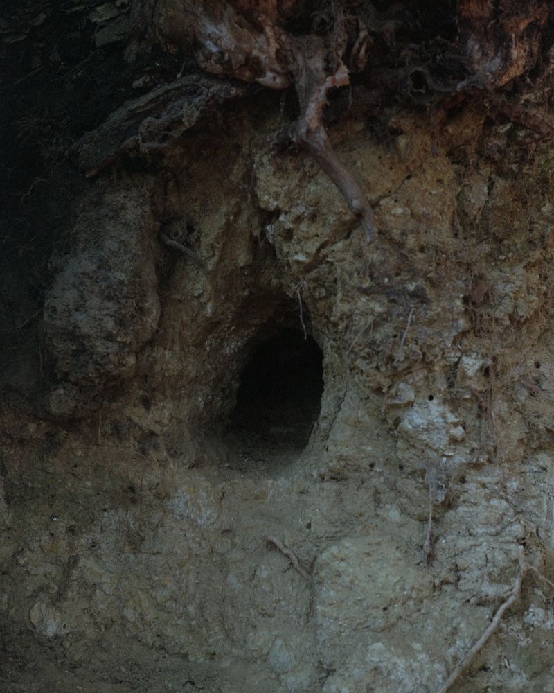 © Frederic Pels - Image from the Error in Ypsilon photography project