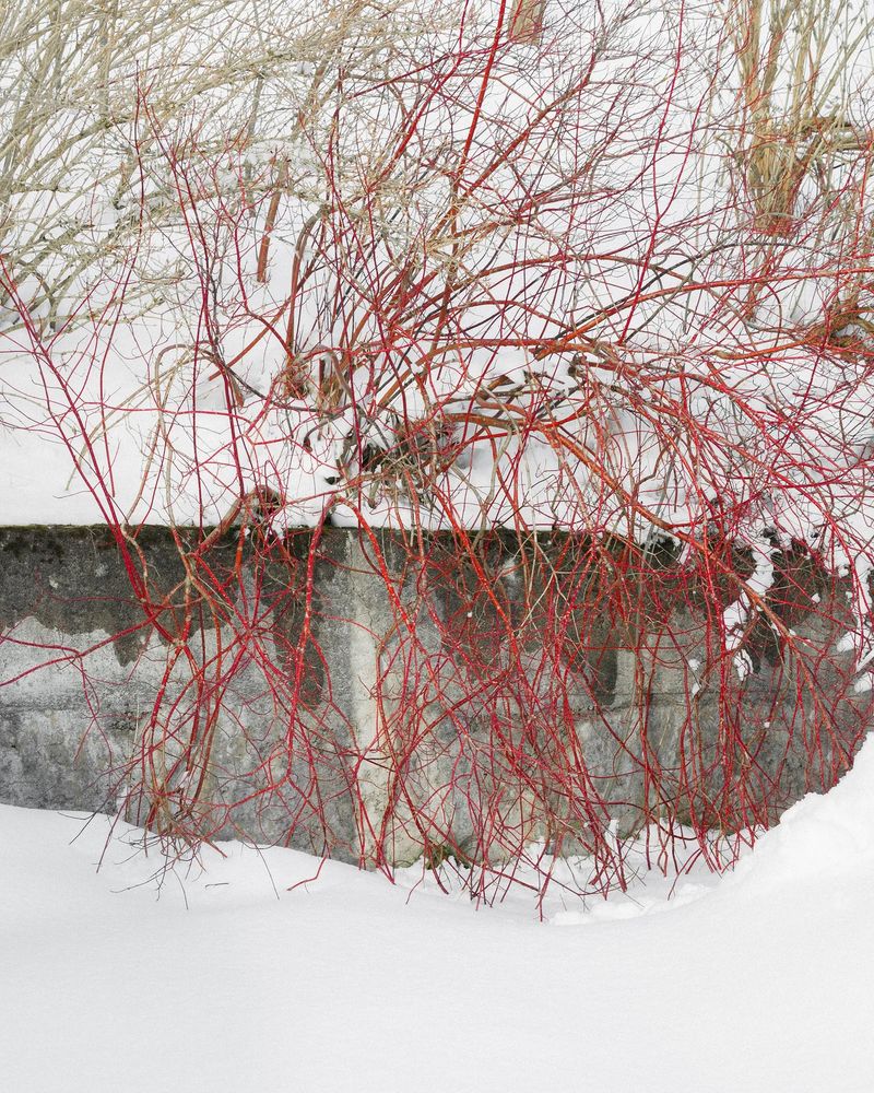 © Frederic Pels - Image from the Error in Ypsilon photography project