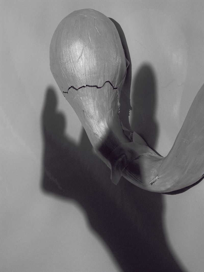 © Tara Mour - Image from the Dear Freedom, a Praise to Forgiveness photography project