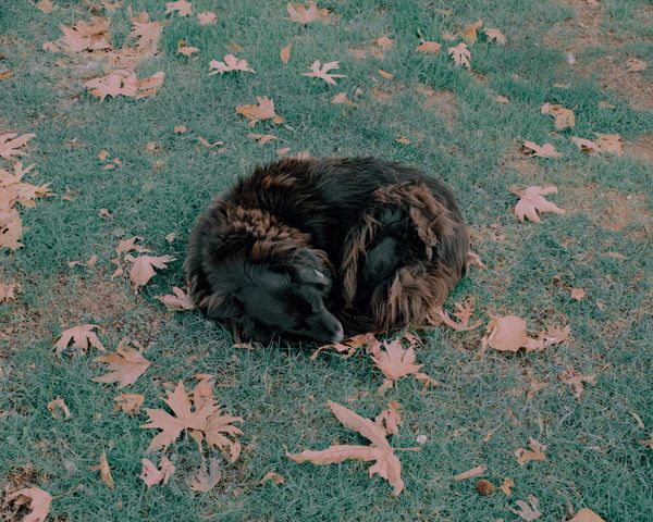 © Ci Demi - Image from the This Peculiar Day photography project