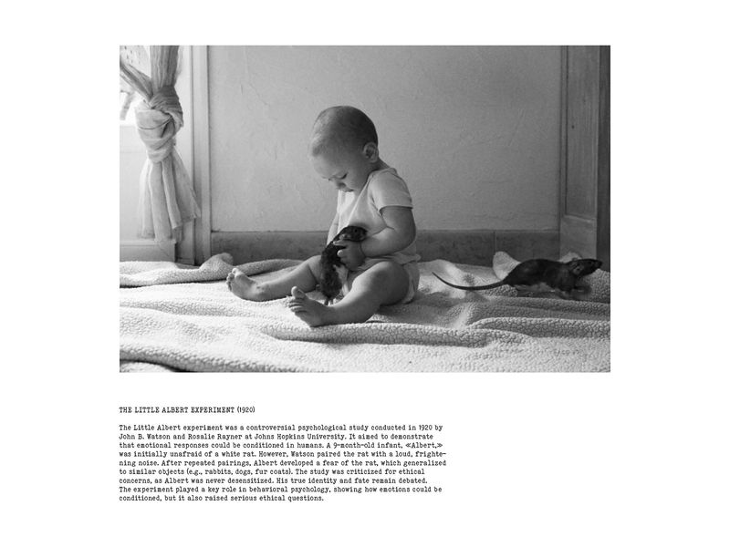 © Coco Amardeil - Image from the SHOCK THERAPY photography project