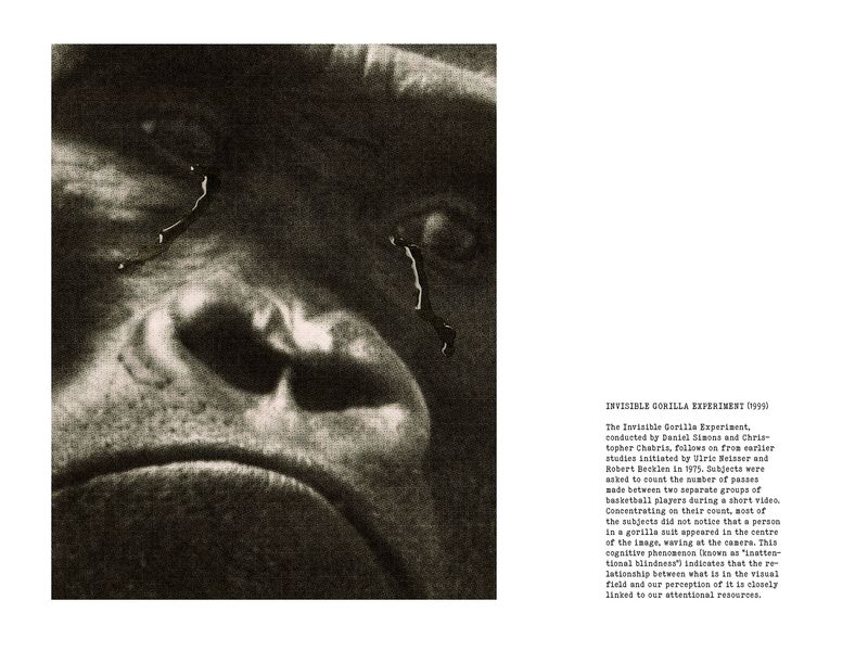 © Coco Amardeil - Image from the SHOCK THERAPY photography project