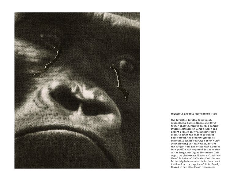 © Coco Amardeil - Image from the SHOCK THERAPY photography project