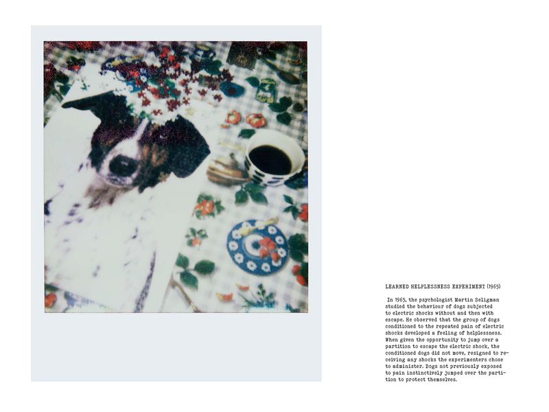 © Coco Amardeil - Image from the SHOCK THERAPY photography project