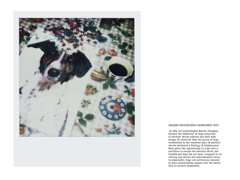 © Coco Amardeil - Image from the SHOCK THERAPY photography project