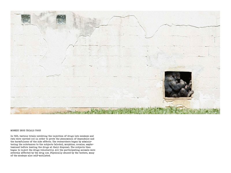 © Coco Amardeil - Image from the SHOCK THERAPY photography project