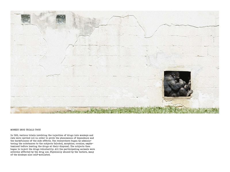 © Coco Amardeil - Image from the SHOCK THERAPY photography project