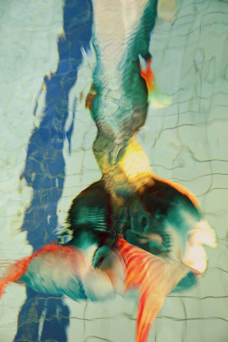 © Coco Amardeil - Image from the Mermaids Don't Sing Anymore photography project