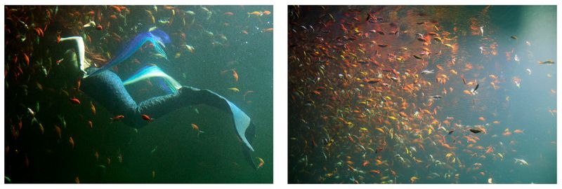 © Coco Amardeil - Image from the Mermaids Don't Sing Anymore photography project