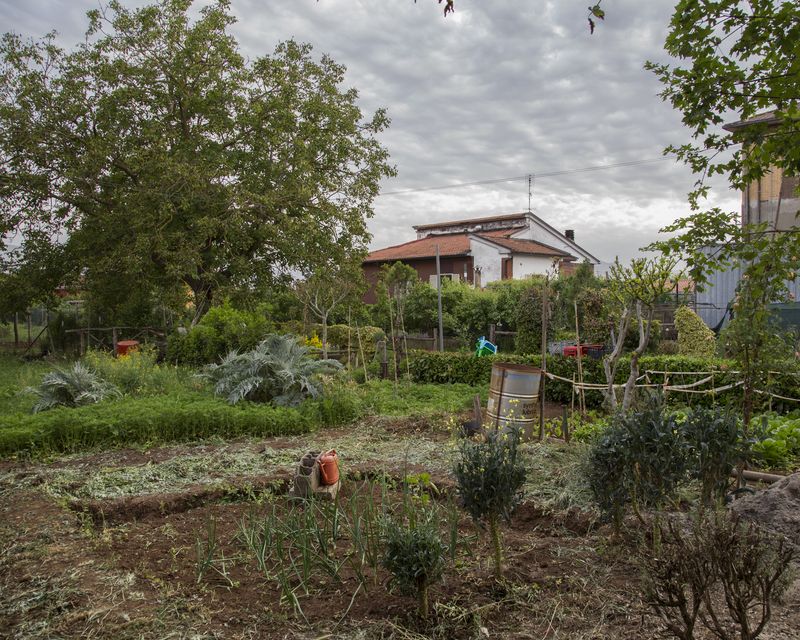 © Francesca Spedalieri - Garden, Quattro Strade.