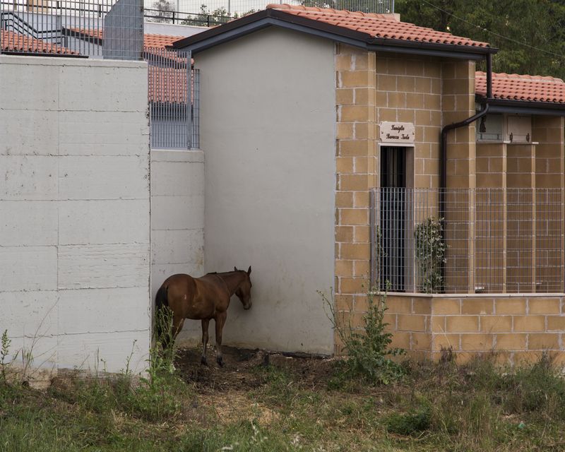 © Francesca Spedalieri - Cemetery, Colleferro.