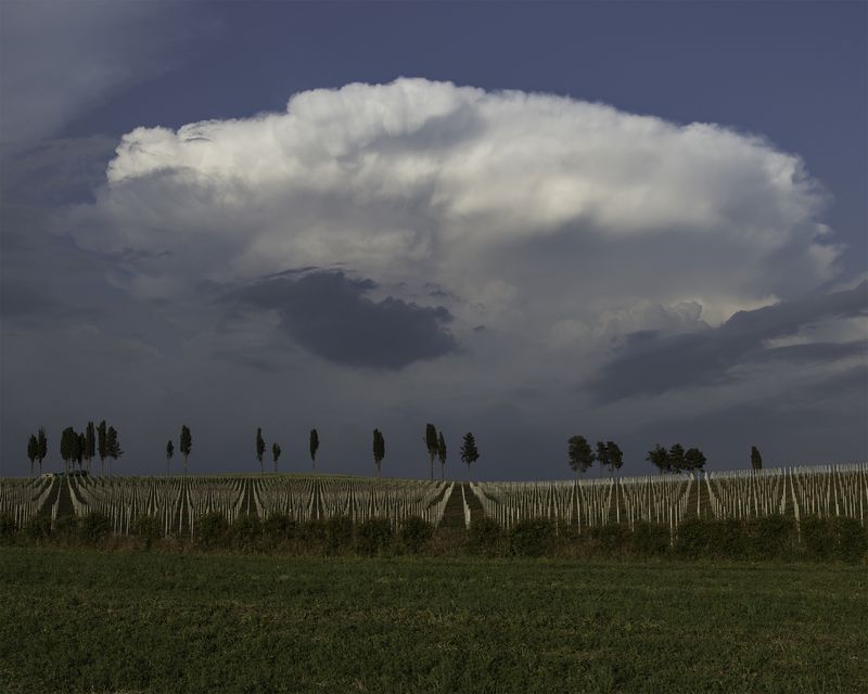© Francesca Spedalieri - Natural reserve, Paliano.