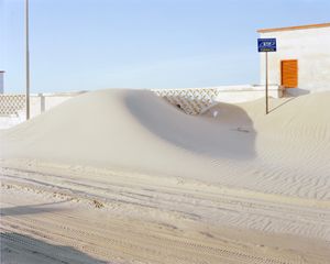 Sopravvivono alle spiagge