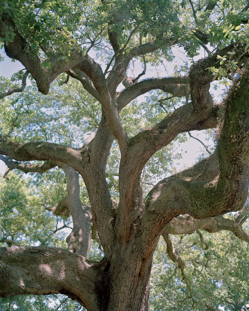 © brandon holland - Image from the All of Me Remembers photography project