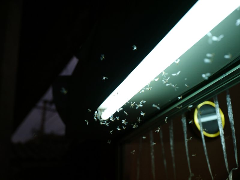 © Nic Bezzina - Image from the Khlong Toei photography project