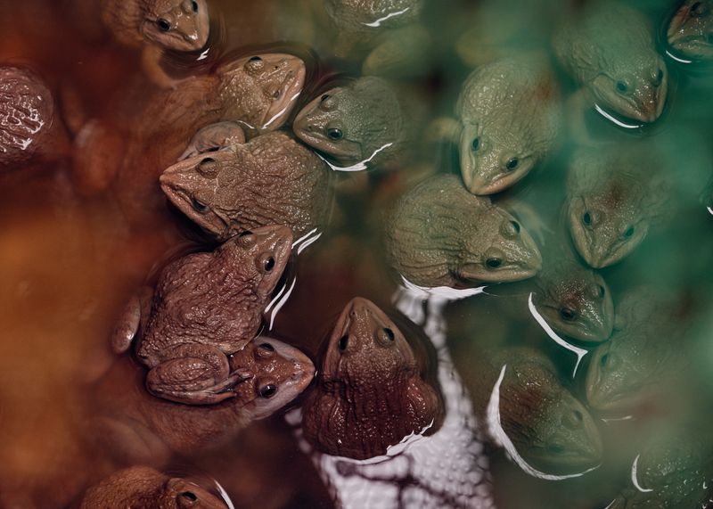 © Nic Bezzina - Image from the Khlong Toei photography project