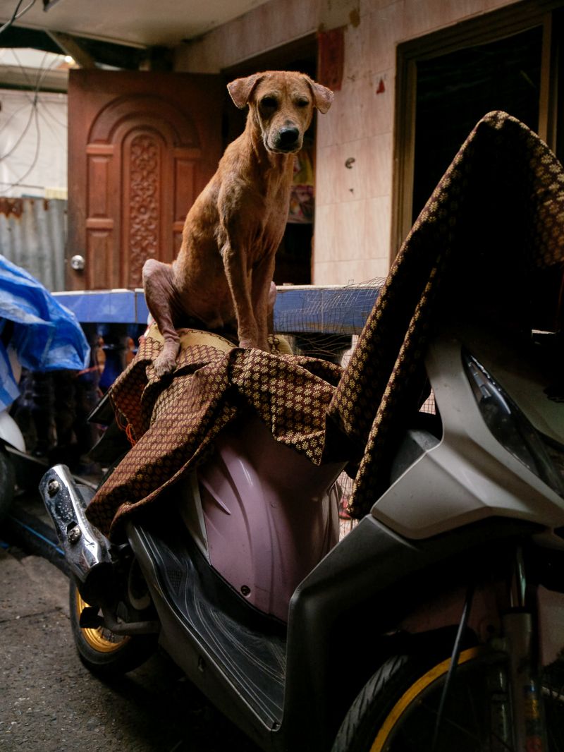 © Nic Bezzina - Image from the Khlong Toei photography project