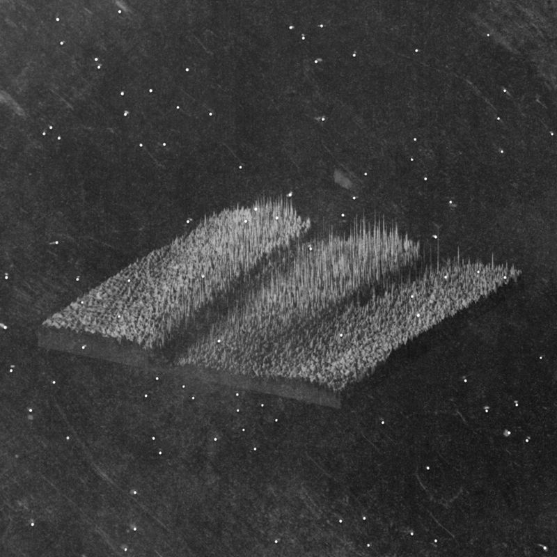 © Priscilla Pallante - Image from the Clementine photography project