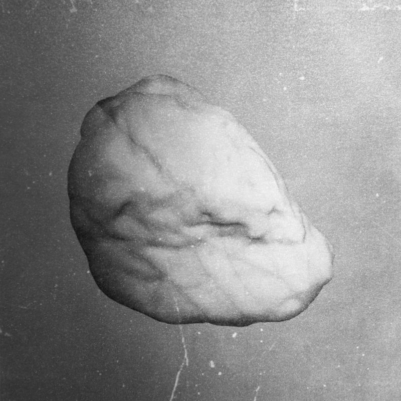 © Priscilla Pallante - Image from the Clementine photography project