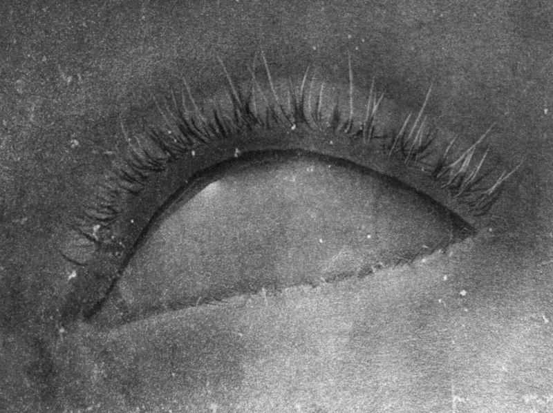 © Priscilla Pallante - Image from the Clementine photography project