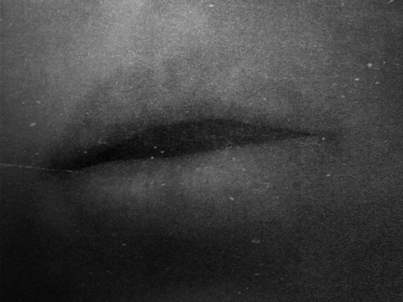 © Priscilla Pallante - Image from the Clementine photography project