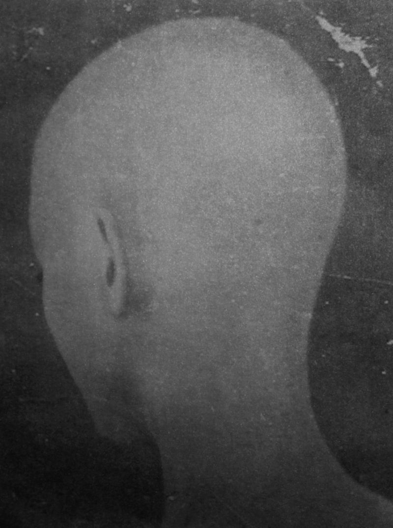 © Priscilla Pallante - Image from the Clementine photography project