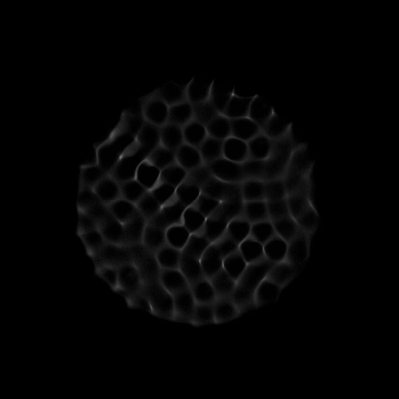 © Priscilla Pallante - Image from the Augmented Rome photography project