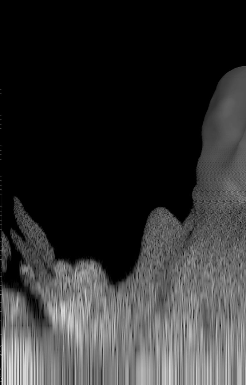 © Priscilla Pallante - Evidence X, 3D scan, reconversion from audio to image.