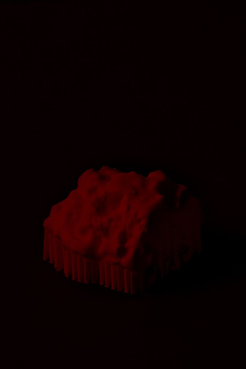 © Priscilla Pallante - Evidence Z, 3D print from scan.