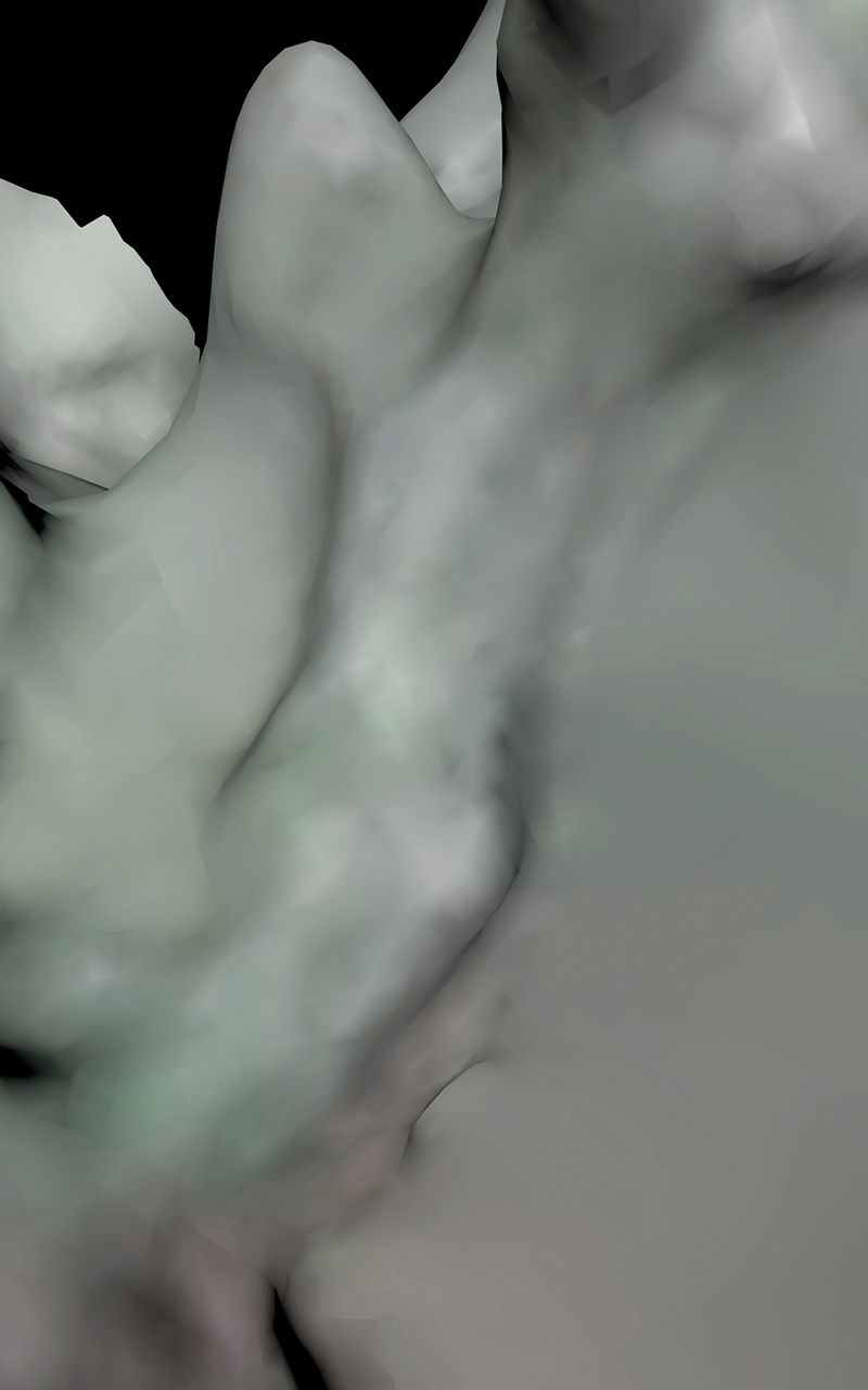 © Priscilla Pallante - Evidence X, 3D scan, detail.