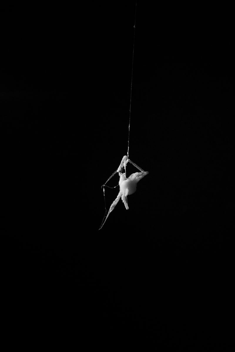 © Priscilla Pallante - Evidence K.