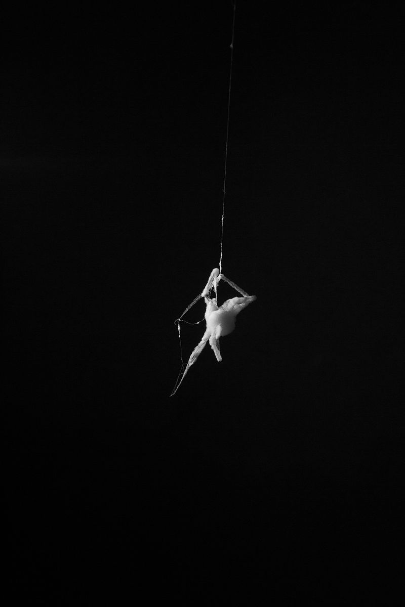 © Priscilla Pallante - Evidence K.