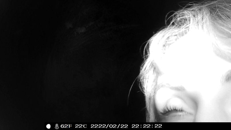 © Priscilla Pallante - Frame Z, infrared videosurveillance camera.