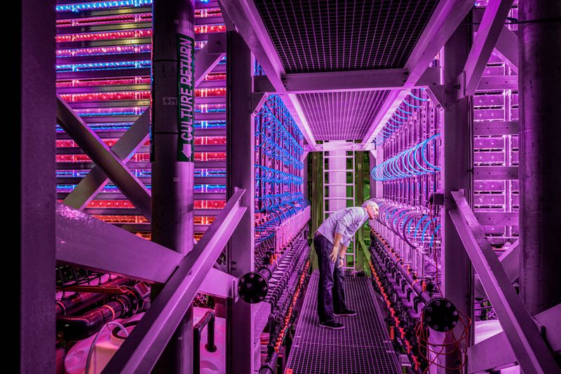 © Simone Tramonte - Image from the NET-ZERO TRANSITION photography project