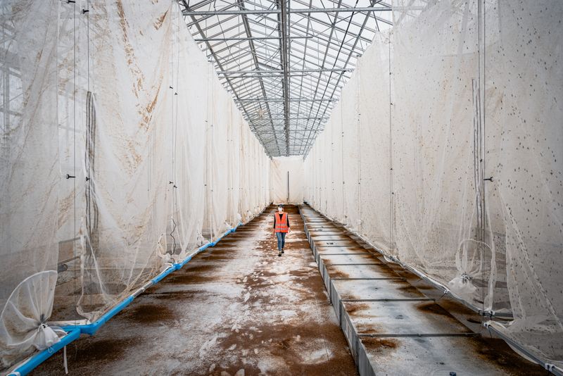 © Simone Tramonte - Image from the NET-ZERO TRANSITION photography project