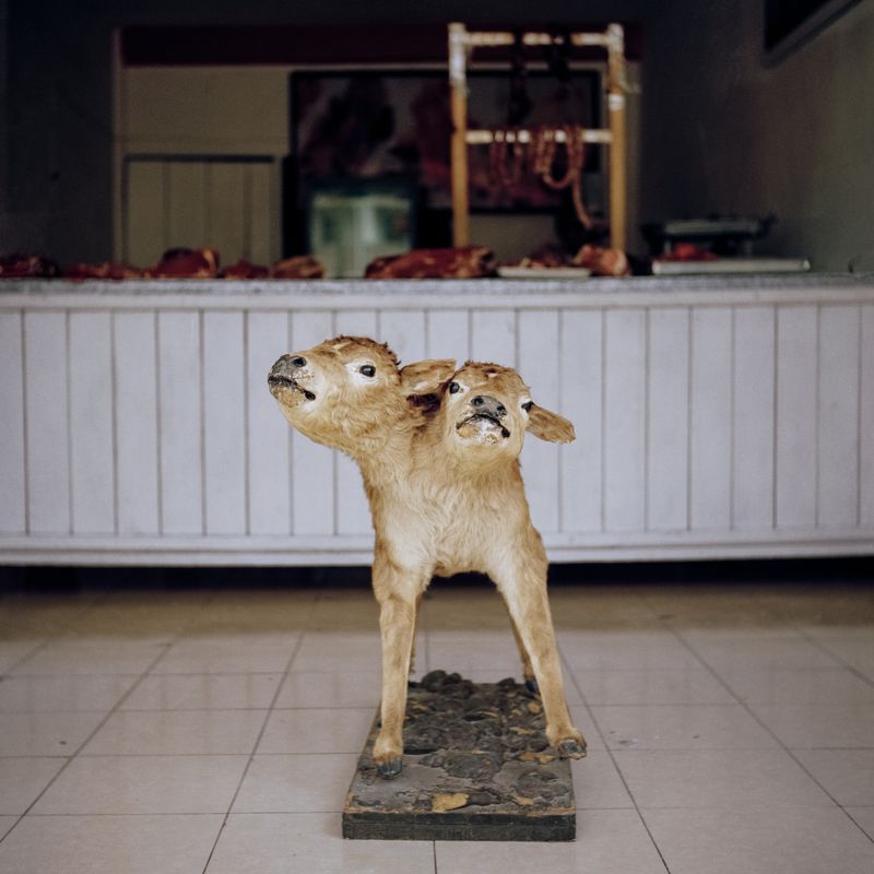 © Giulia Iacolutti - Image from the JANNAH photography project